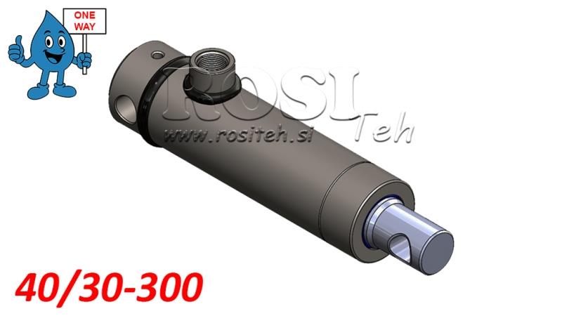 HIDRAULISKAIS CILINDRS 40/30-300