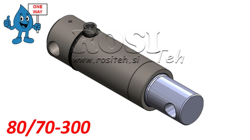 HIDROKOLBA MONO 80/70-300