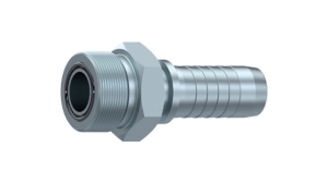 AGORFS-ĀRĒJA-VĪTNE