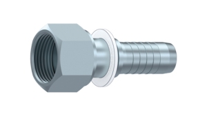 DKORFS-IEKSĒJA-VĪTNE